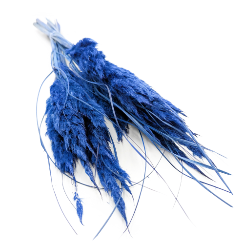 mini pampas niebieski.png