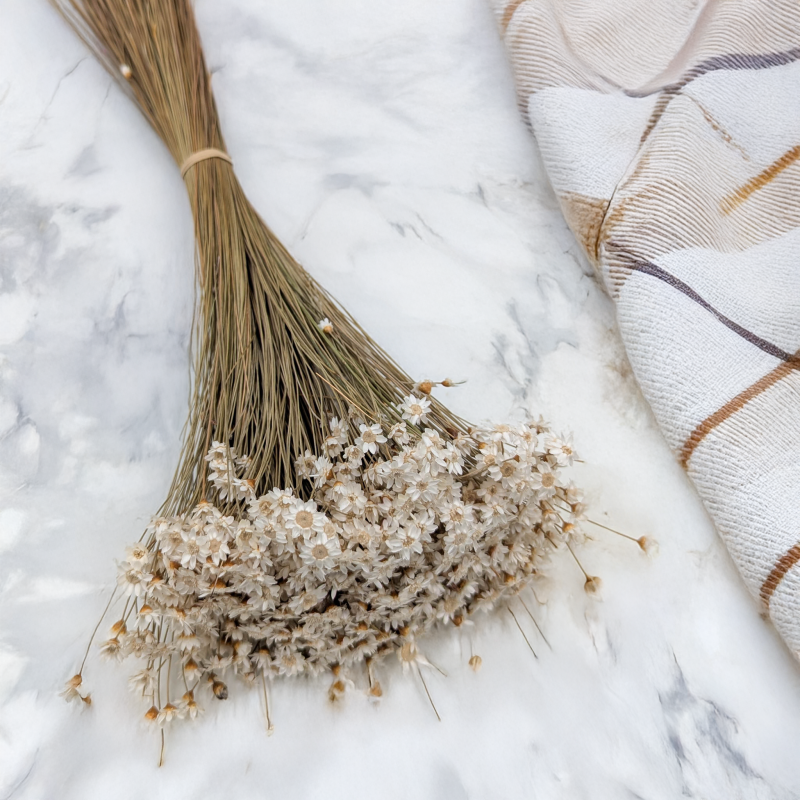 Glixia suszona - naturalny biały 1.png