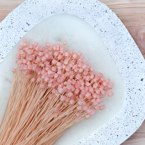 Jazilda różowa 2.png