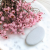 Ammobium jasny roz premium SZ 3.png