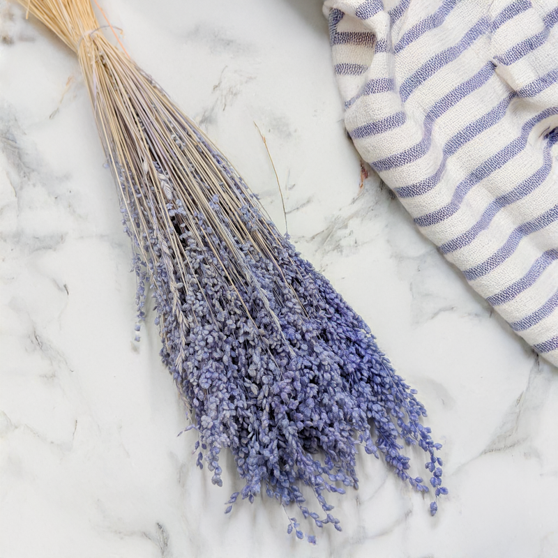 Briza minima lawendowa 1.png