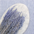 Briza minima lawendowa 2.png