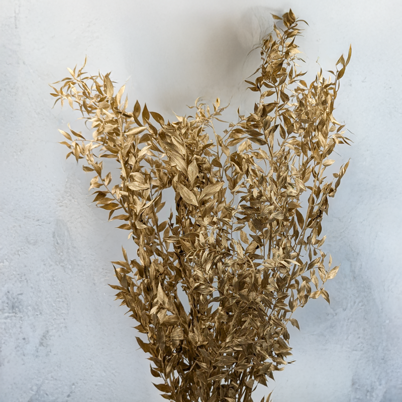 Ruskus suszony złoty 4.png