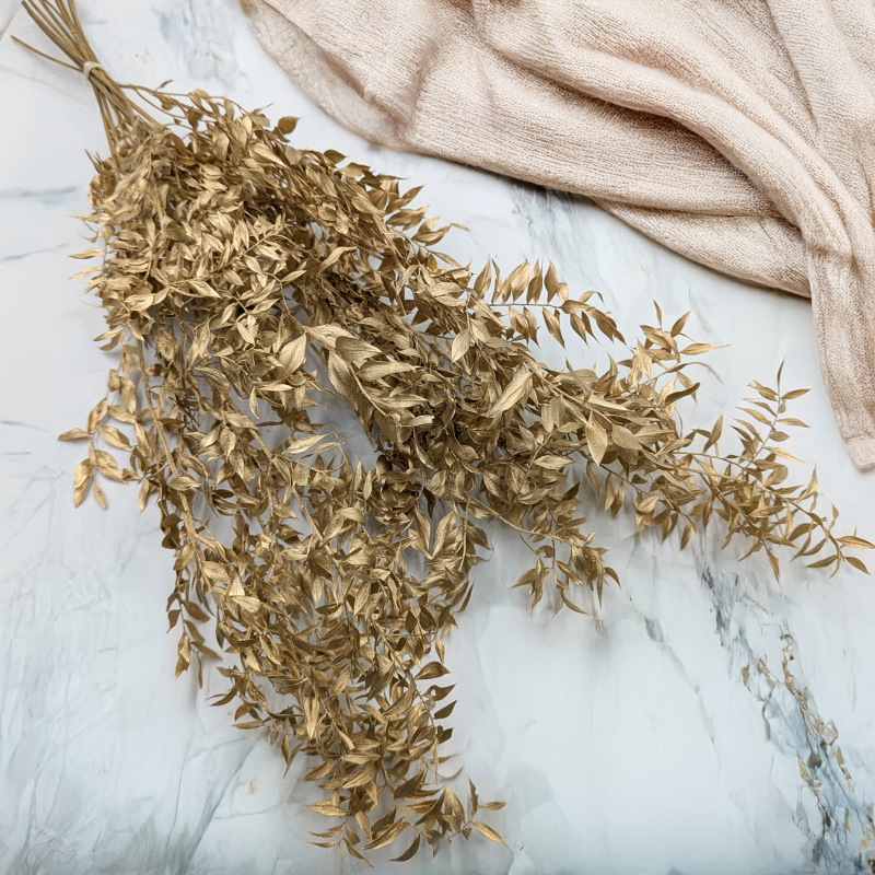 Ruskus suszony złoty 1.png