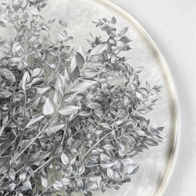 Ruskus suszony srebrny 2.png