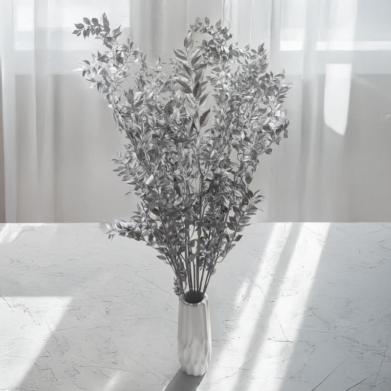 Ruskus suszony srebrny 4.png