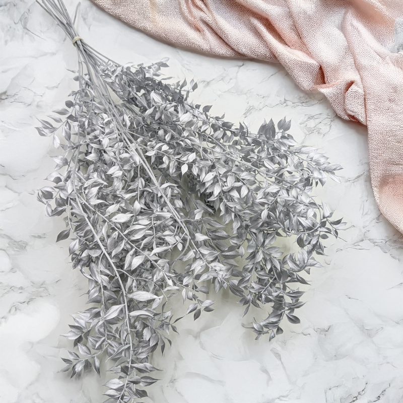 Ruskus suszony srebrny 1.png