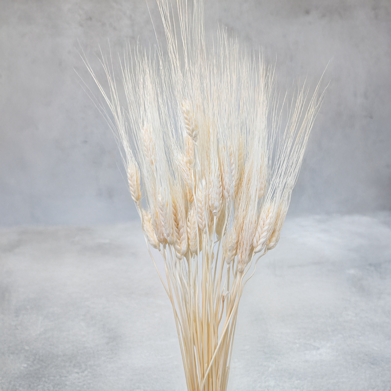 Pszenżyto EXTRA Bielone 4.png