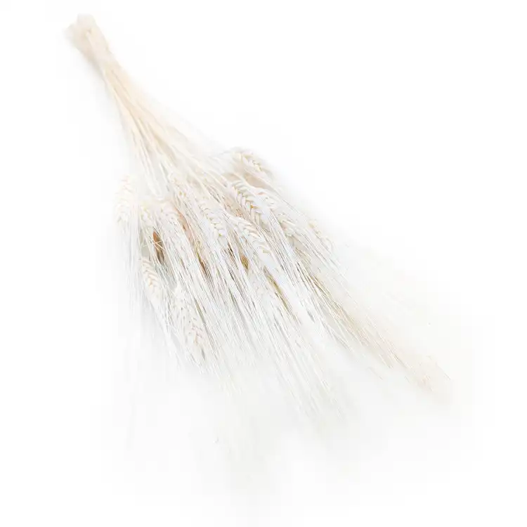 Pszenzyto EXTRA bielone.png