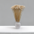 Amarelino bielone 4.png