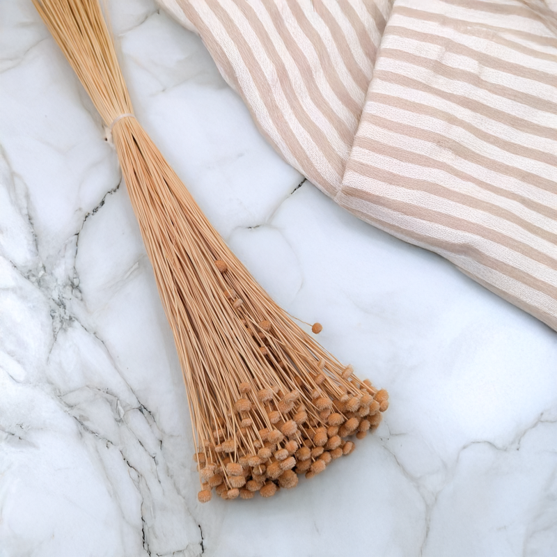 Amarelino brzoskwiniowe 1.png