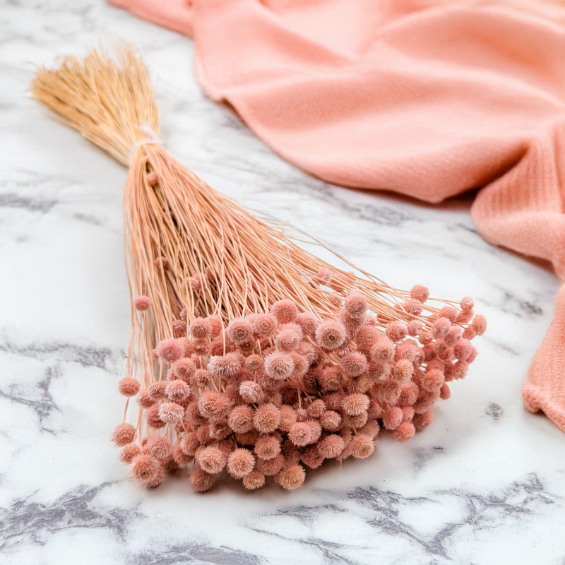 Amarelino różowe 1.png