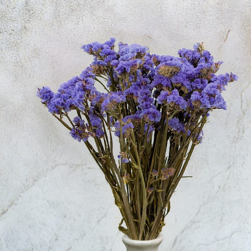 Zatrwian niebieski SZ 4.png