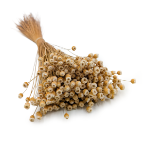 Jazilda Getrocknete - Natürlich