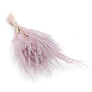 Ouro Stabilisiertes - Heidekraut