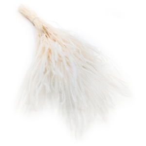 Ouro Stabilisiertes - Gebleichtes