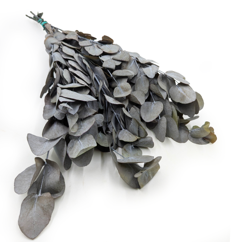 Eukaliptus Espiral Szaro-zielony IT.png