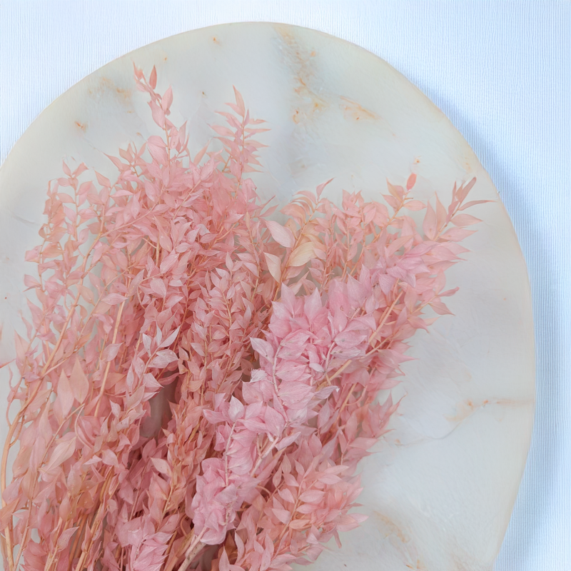 Ruskus pudrowy róż ES 2.png