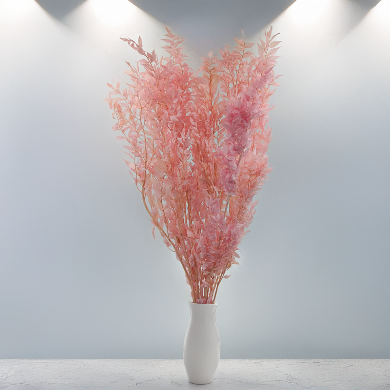 Ruskus pudrowy róż ES 5.png