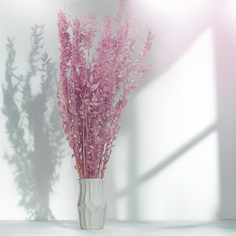 Ruskus wrzosowy 82 ES 5.png