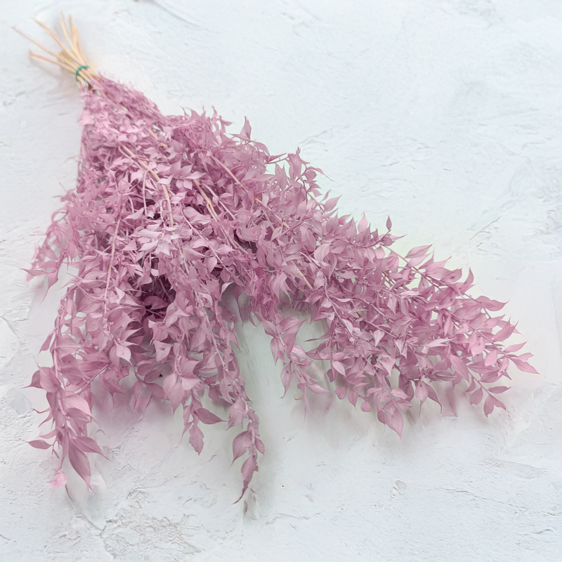 Ruskus wrzosowy 82 ES 1.png