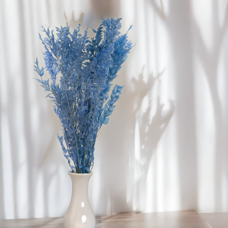 Ruskus Stalowy błękit 5.png