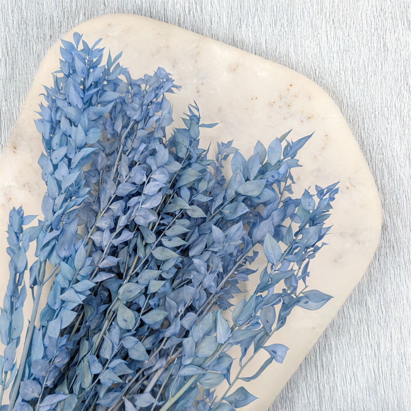 Ruskus Stalowy błękit 3.png