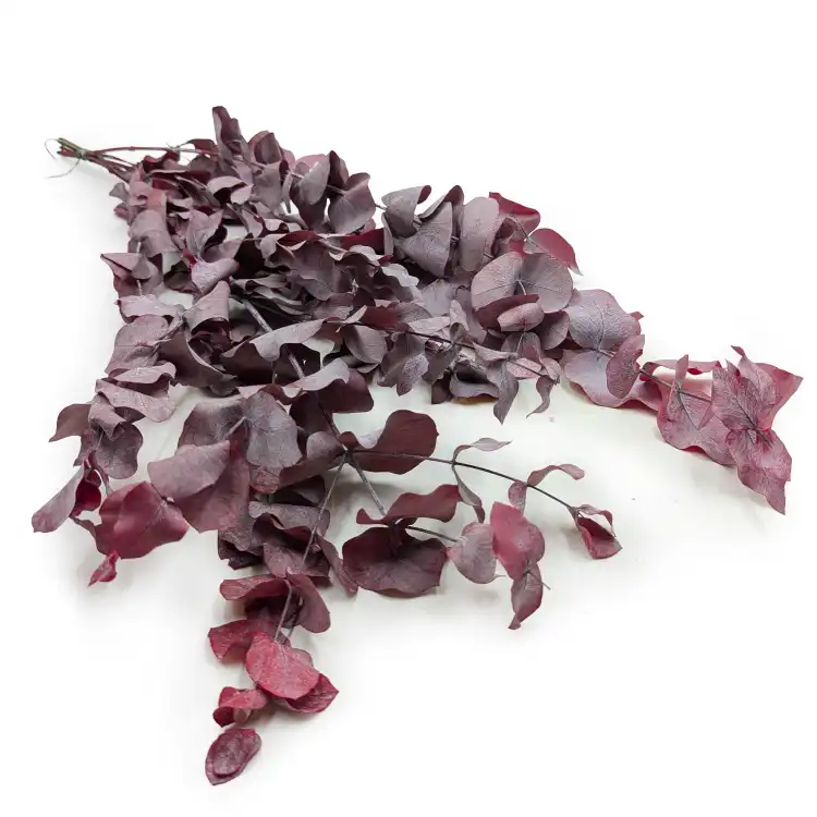 Cinerea Czerwona LC.png