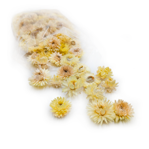 Immortelle Getrocknete – Blütenköpfe – (Helichrysum) – Zitrone