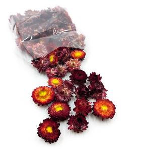 Immortelle Getrocknete – Blütenköpfe – (Helichrysum) – Scharlachrot