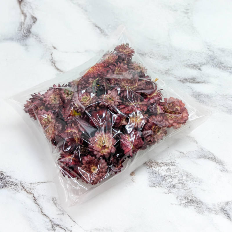 Kocanki głowki szakrłat 4.png