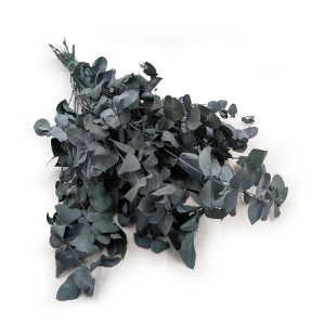 Stabilisiertes Eukalyptus - Cinerea - Grün