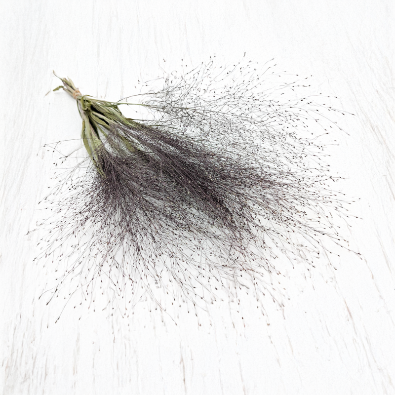 Proso Różgowate Naturalne SZ 1.png