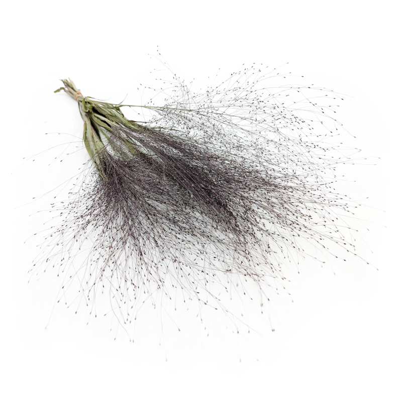 Proso Różgowate Naturalne SZ.png