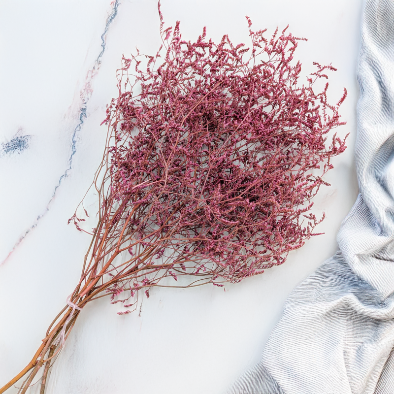 Statice Marine Vintge Pink 3.png