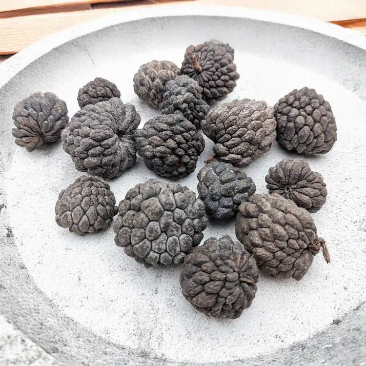 ATA FRUIT NATURAL 2.jpg