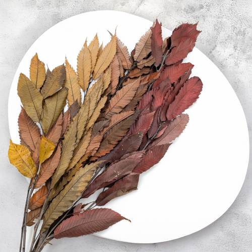 Kasztan stabilizowany - liscie - Jesienny LC 3.jpg