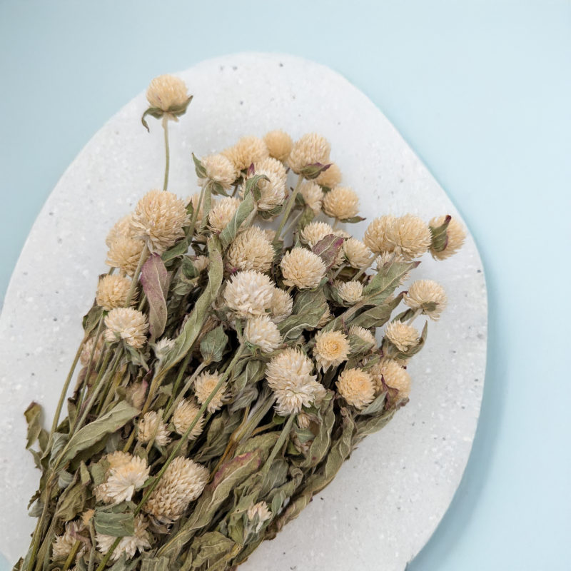 Gomfrena naturalna pls 3.png