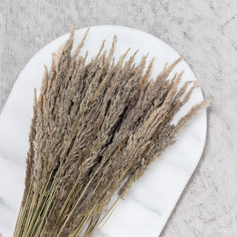 Trawa naturalna pls 2.png