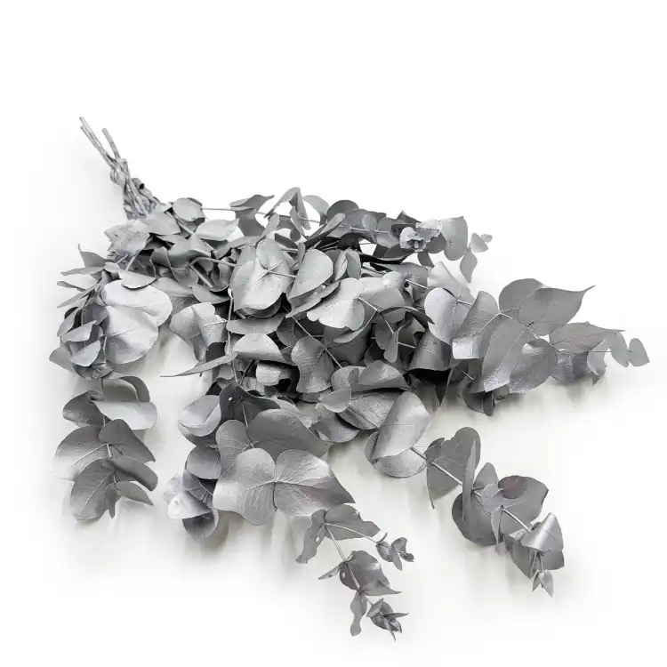 Cinerea srebrna LC.png