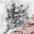 Cinerea srebrna LC 1.png