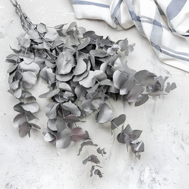 Cinerea srebrna LC 4.png