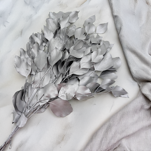 Populus silver IT 2.png