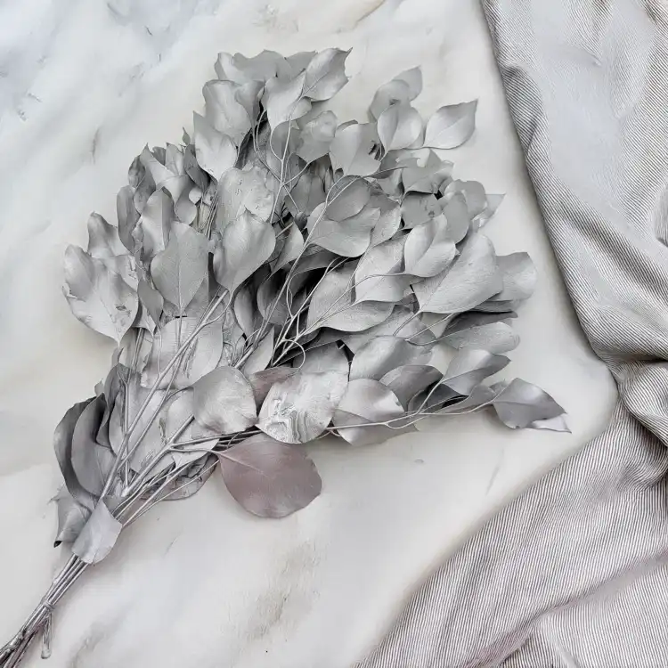 Populus silver IT 2.png
