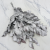 Populus silver IT 1.png