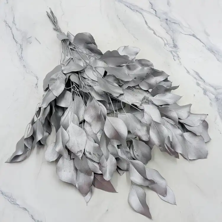 Populus silver IT 1.png