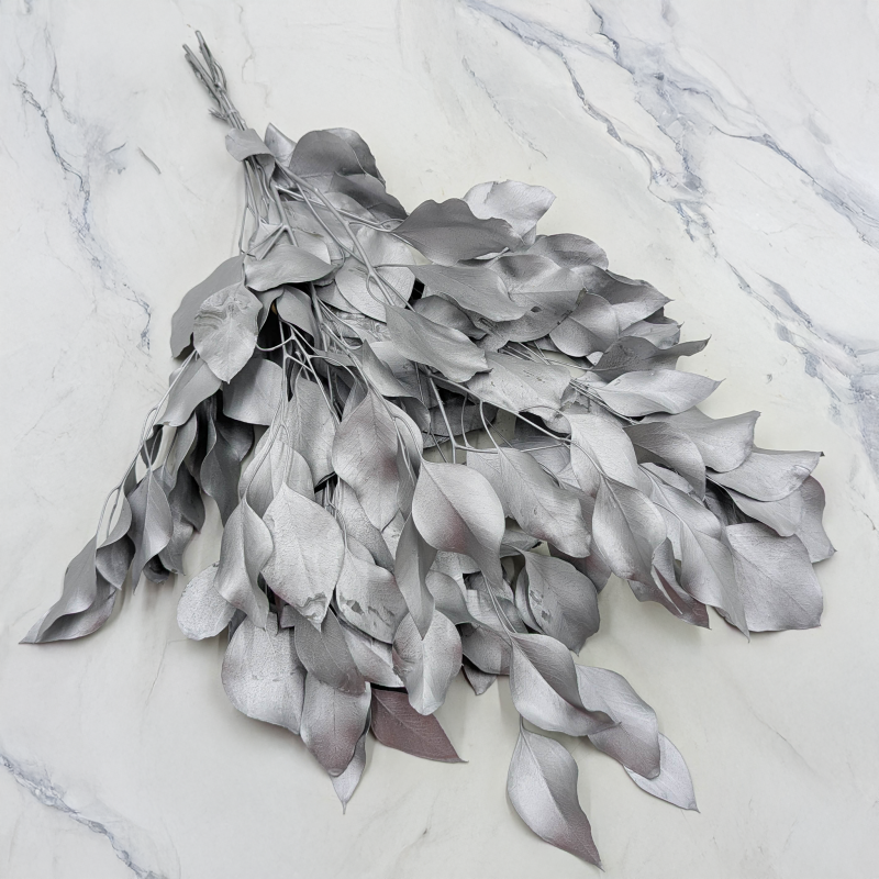 Populus silver IT 1.png