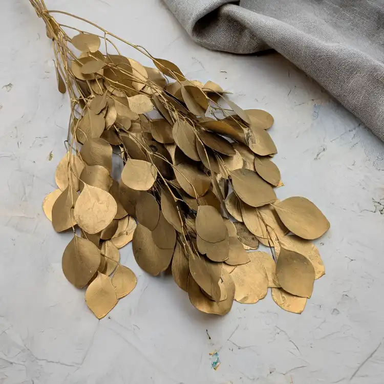 Populus gold it 2.png