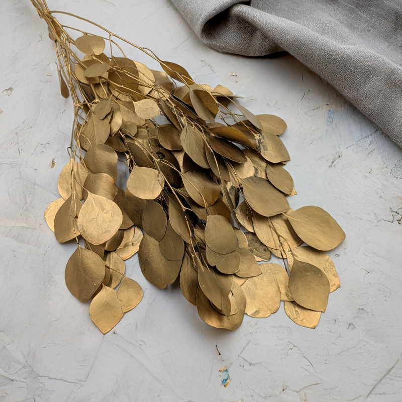 Populus gold it 2.png