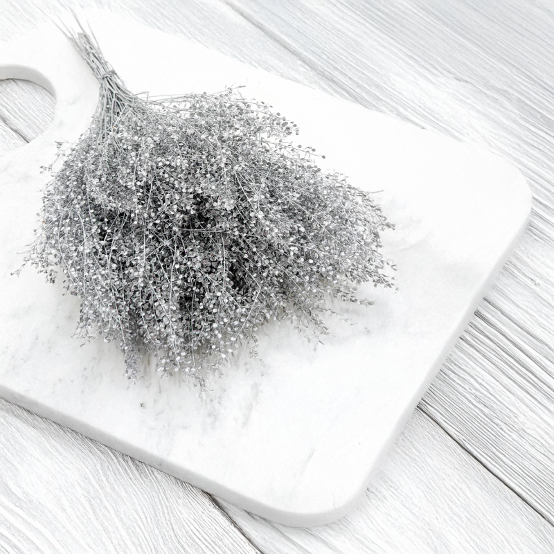 Lepidium Silver srebrne IT 5.png